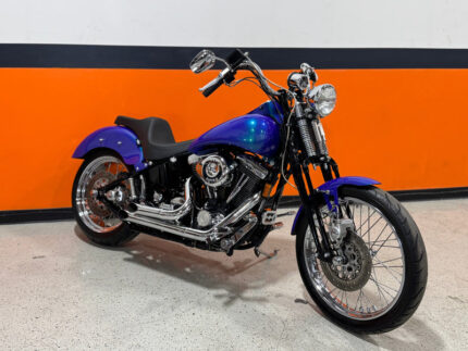 1995 Harley-Davidson Softail Springer Badboy FXSTSB FXSTS 12K Original Miles w/ Extras!!